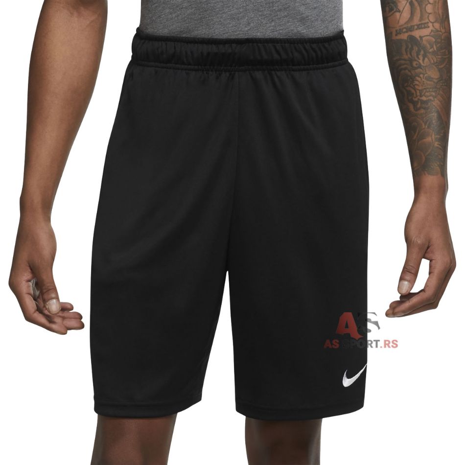 Dri-FIT Shorts