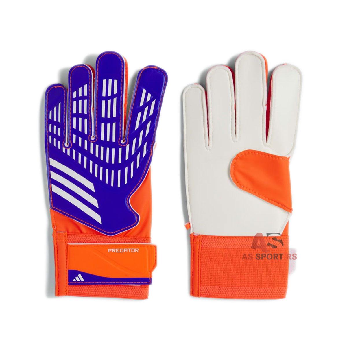 Predator Training Goalkeeper Gloves 