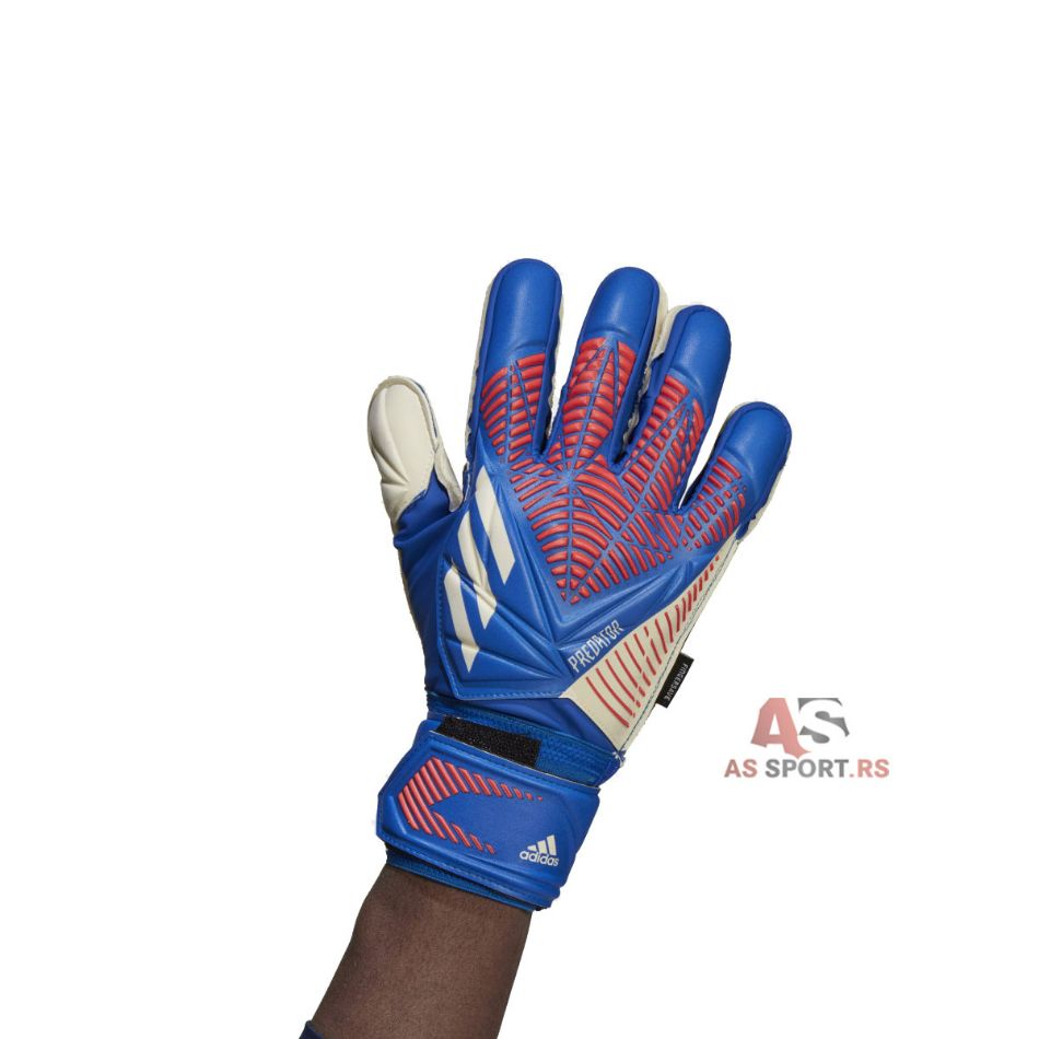 Predator Gloves 10 H43739-NS