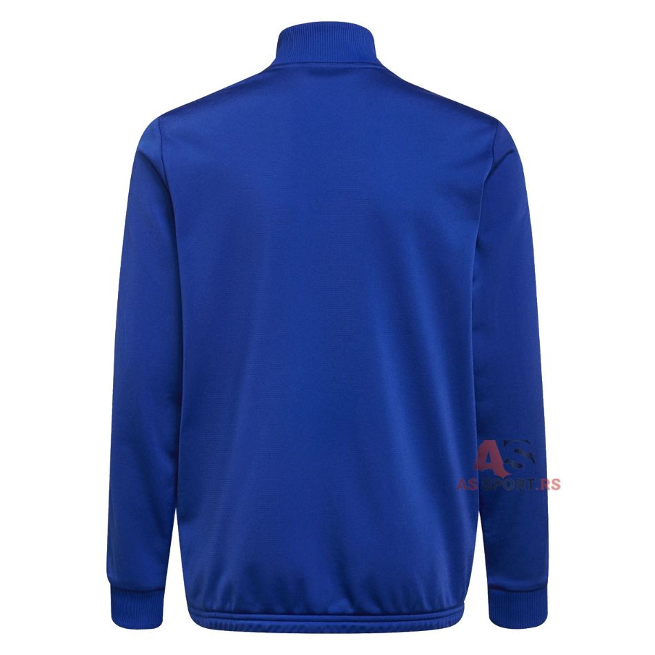 B Tibero 164 GS0185-cThd