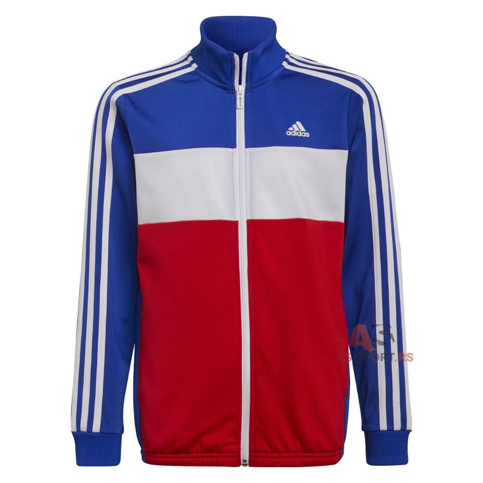 B Tibero 164 GS0185-cThd