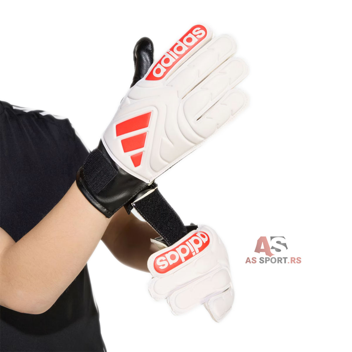 Copa Gl Clb 6 JH3792-QetW