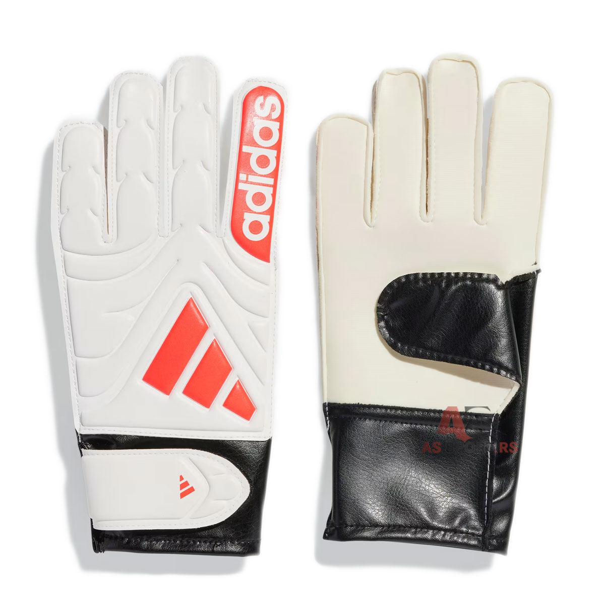 Copa Gl Clb 6 JH3792-QetW