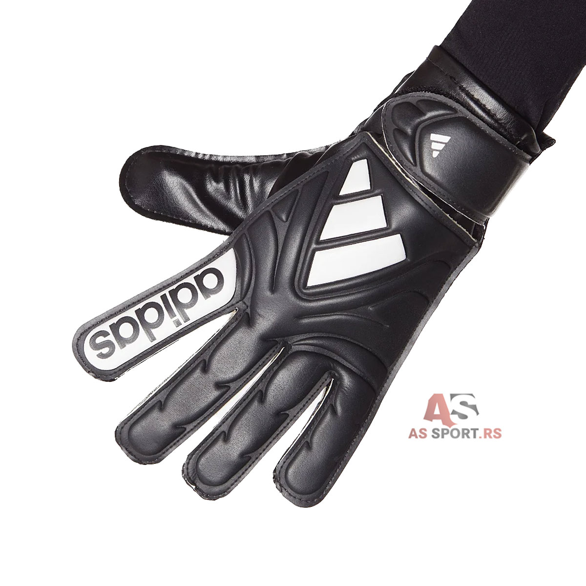 Copa Gl Club J 5 JY0626-PFHD