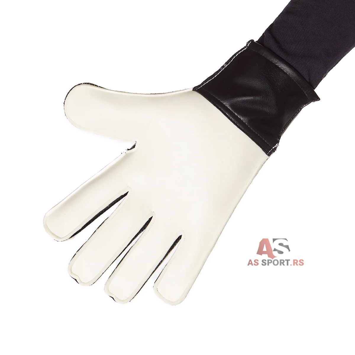 Copa Gl Club J 5 JY0626-PFHD