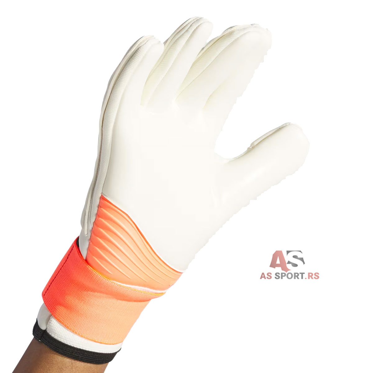 Copa Gl Pro  9 IQ4013-LcRt