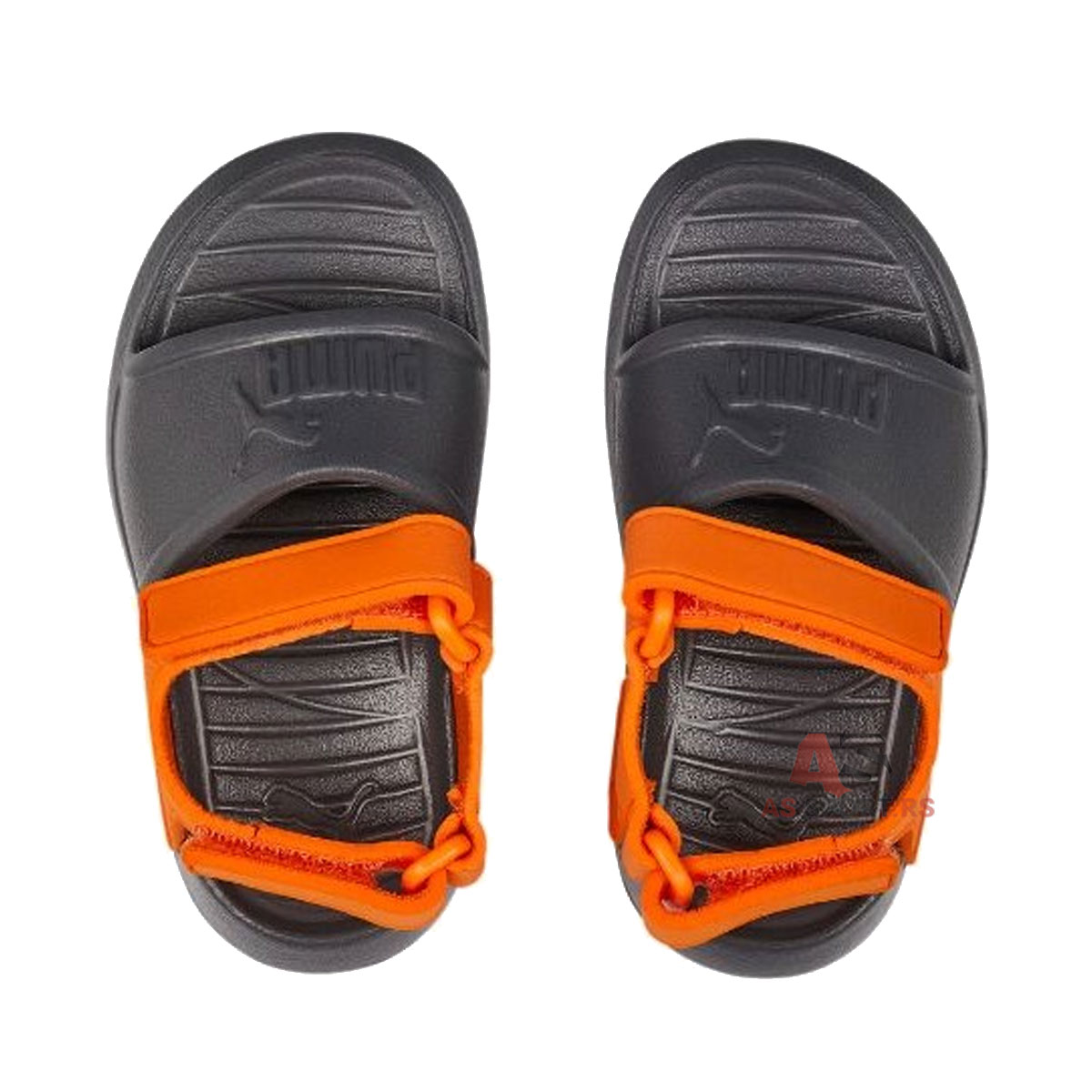 Divecat V2 Injex 19 369545-13-a5K8