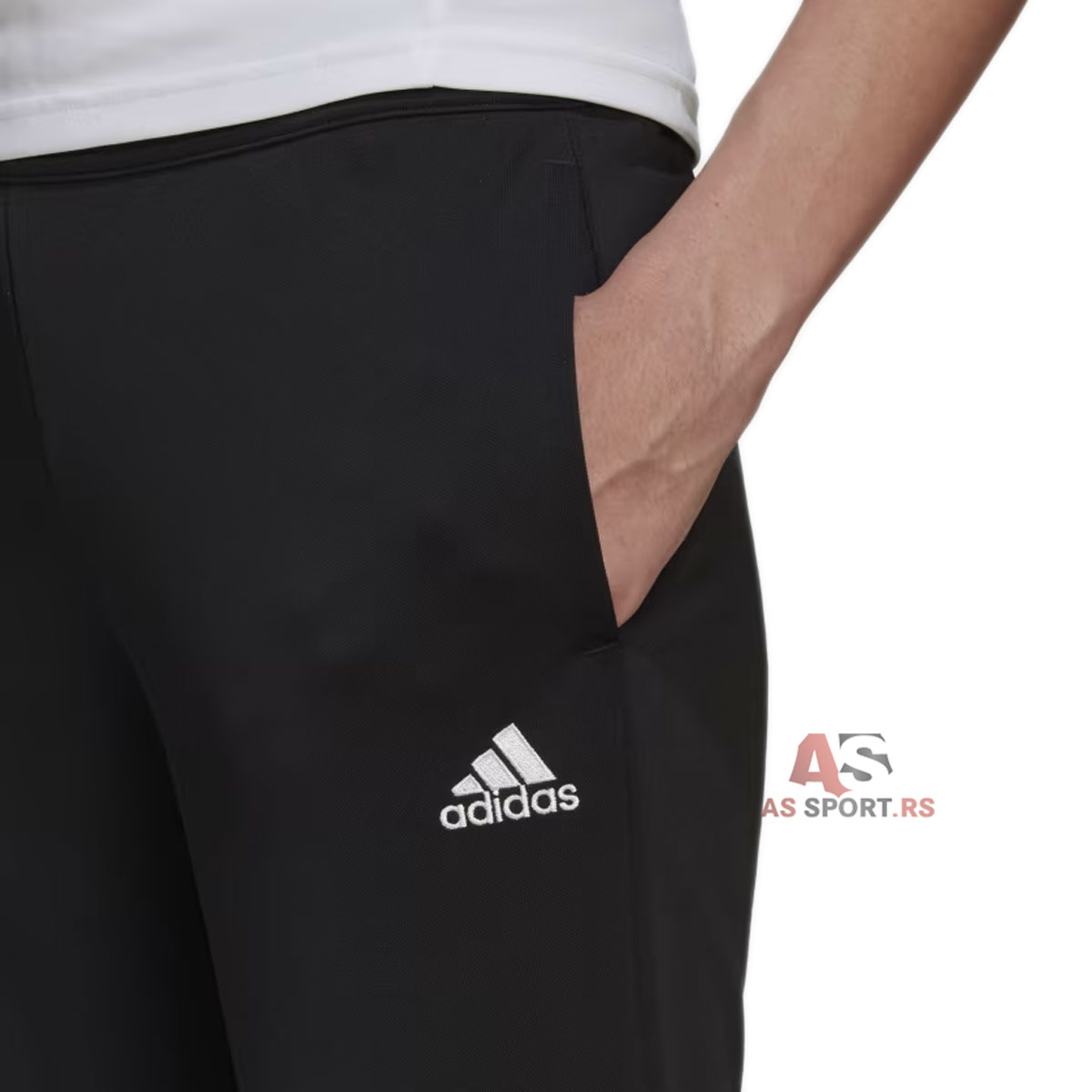 Ent22 Tr Pnt W S HC0335-ADmp