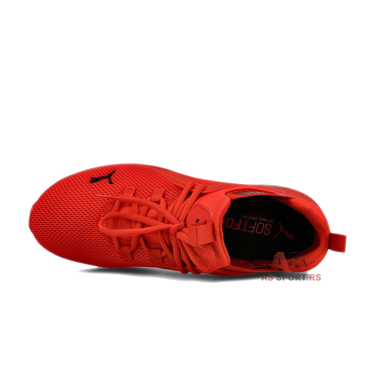 Enzo 2 44.5 193249-05-w0lC