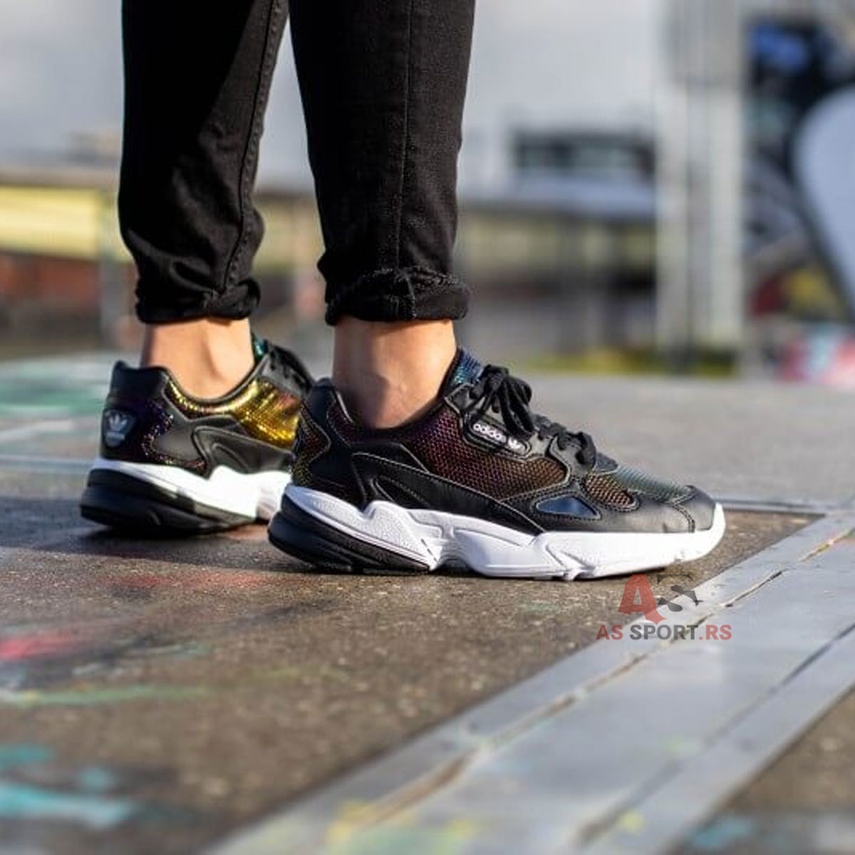 Falcon W 38 EF5517-fWIZ