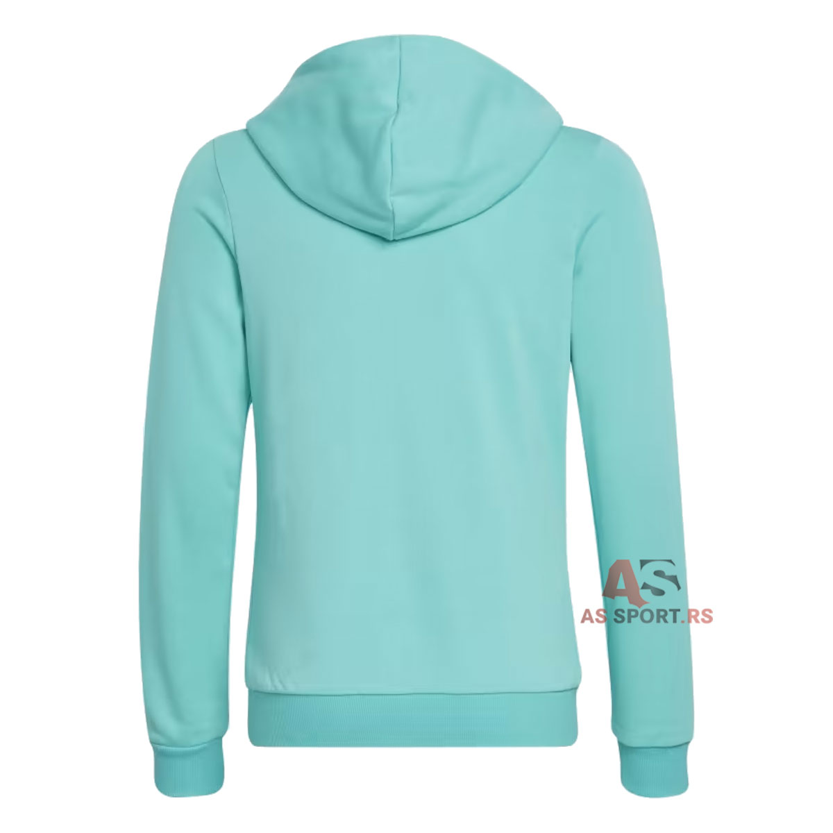 G Lin Fz Hd  XL HE1969-BSpH