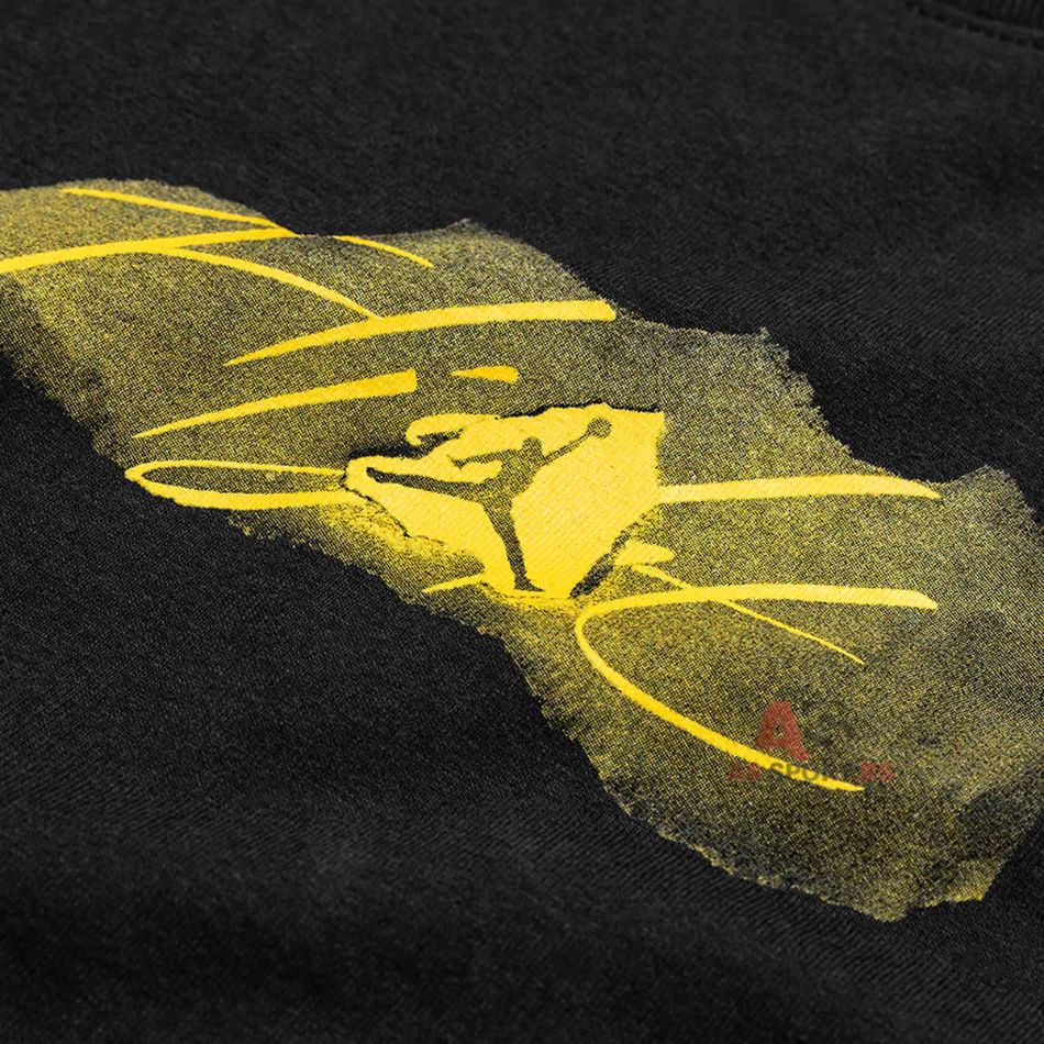 Jumpman Flight S DC9727-010-KaPX