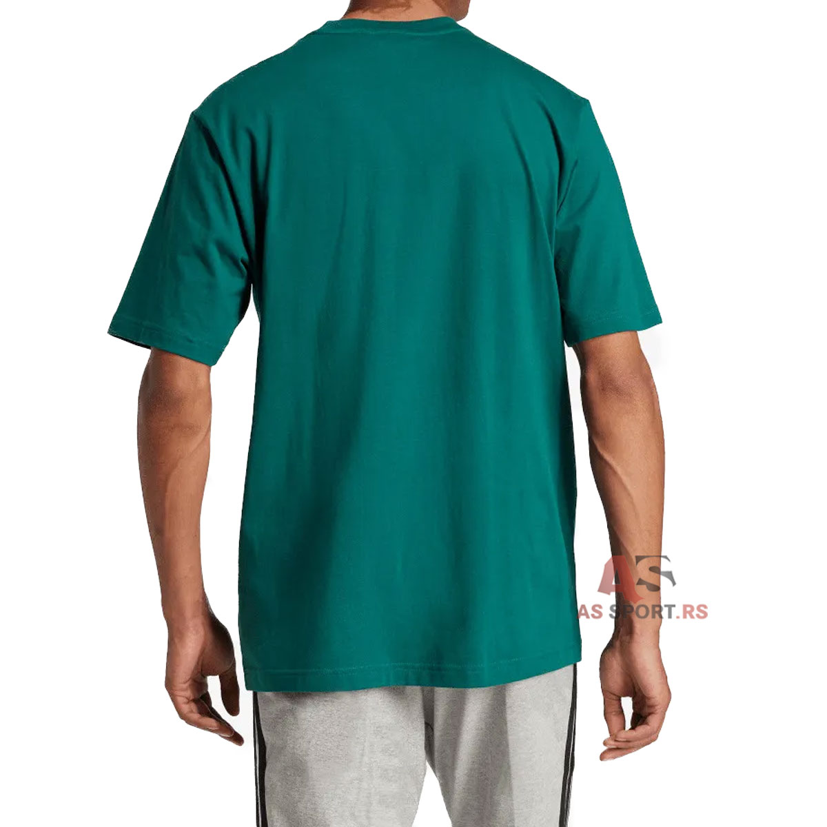 M Lin Sj T M JE8997-7DLg