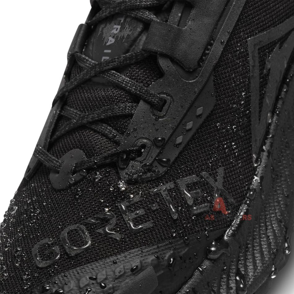 Pegasus Trail 3 Gore-Tex 43 DC8793-001-DvjB