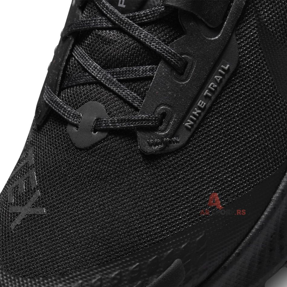 Pegasus Trail 3 Gore-Tex 43 DC8793-001-DvjB