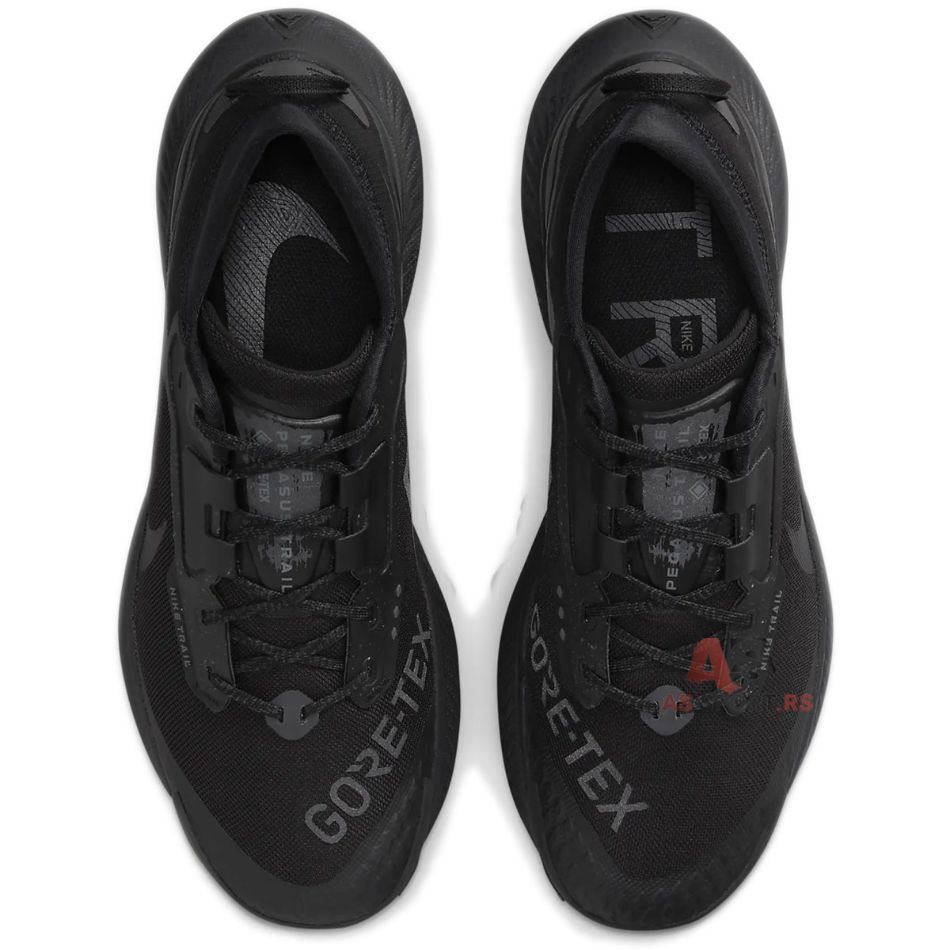 Pegasus Trail 3 Gore-Tex 43 DC8793-001-DvjB