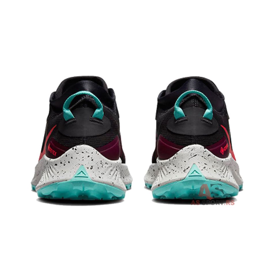 Pegasus Trail 3 Gore-Tex 42 DC8793-002-xELH