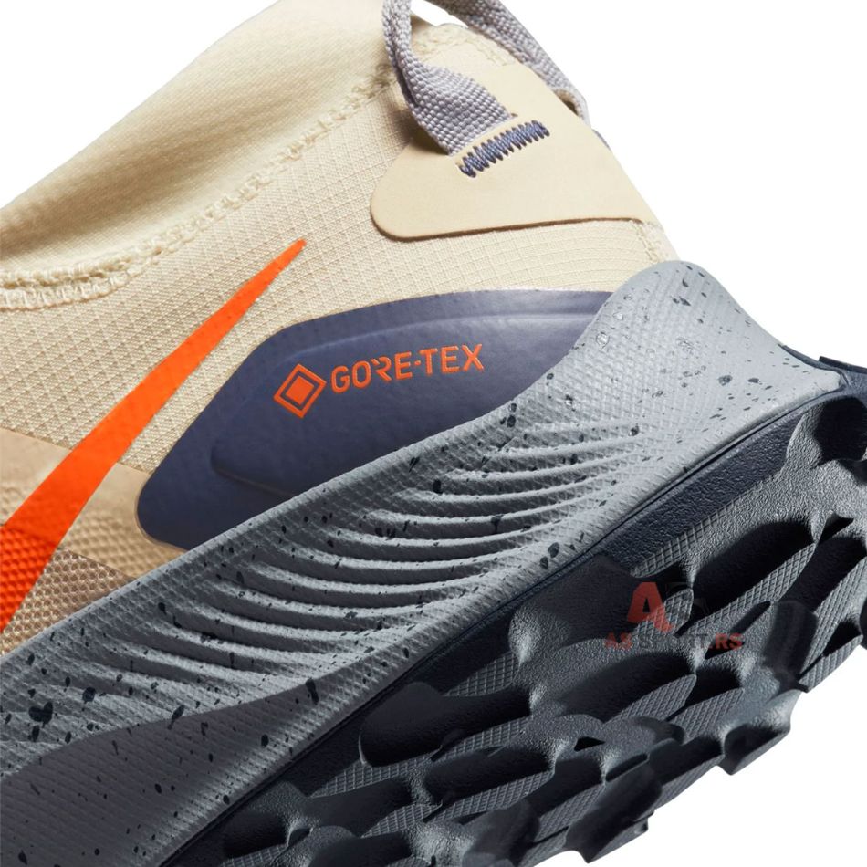Pegasus Trail 3 Gore-Tex 47 DC8793-200-cCYE