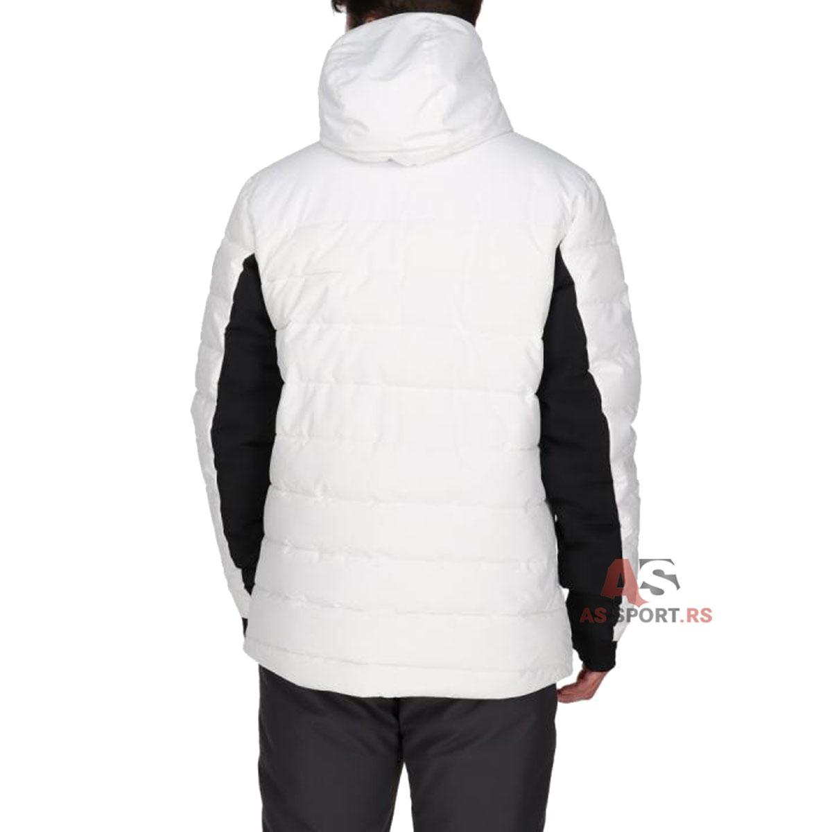 Paolo Mens Ski Jacket  L ELA223M504-10-HhkX