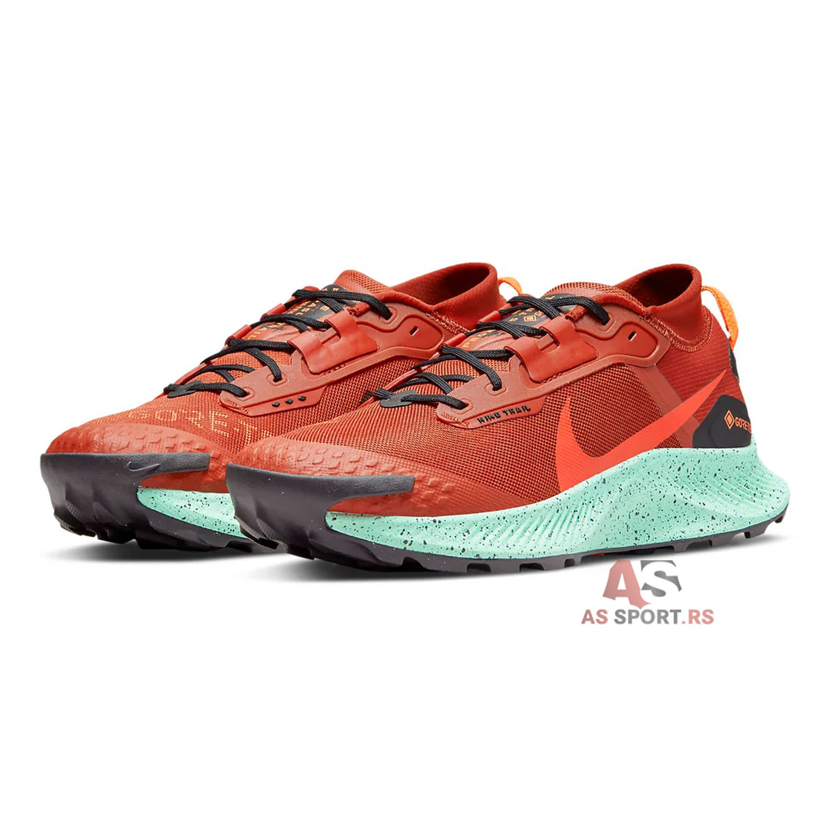 Pegasus Trail 3 Gore-Tex 43 DC8793-800-hYcV