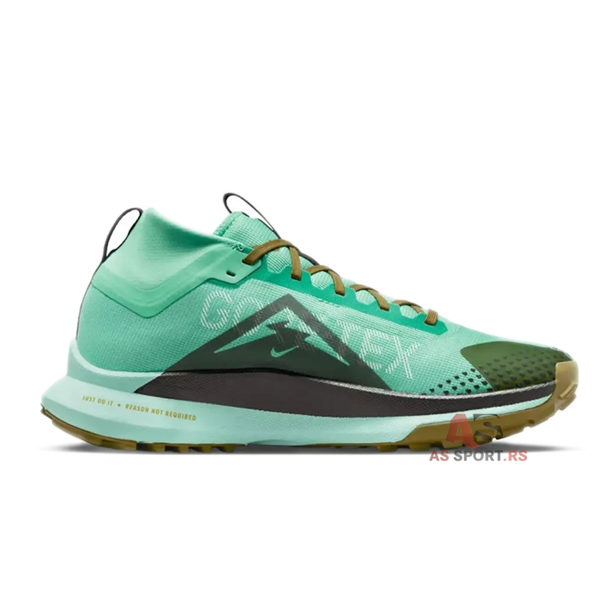 Pegasus Trail 4 Gore-Tex 42.5 DJ7926-301-FJTO