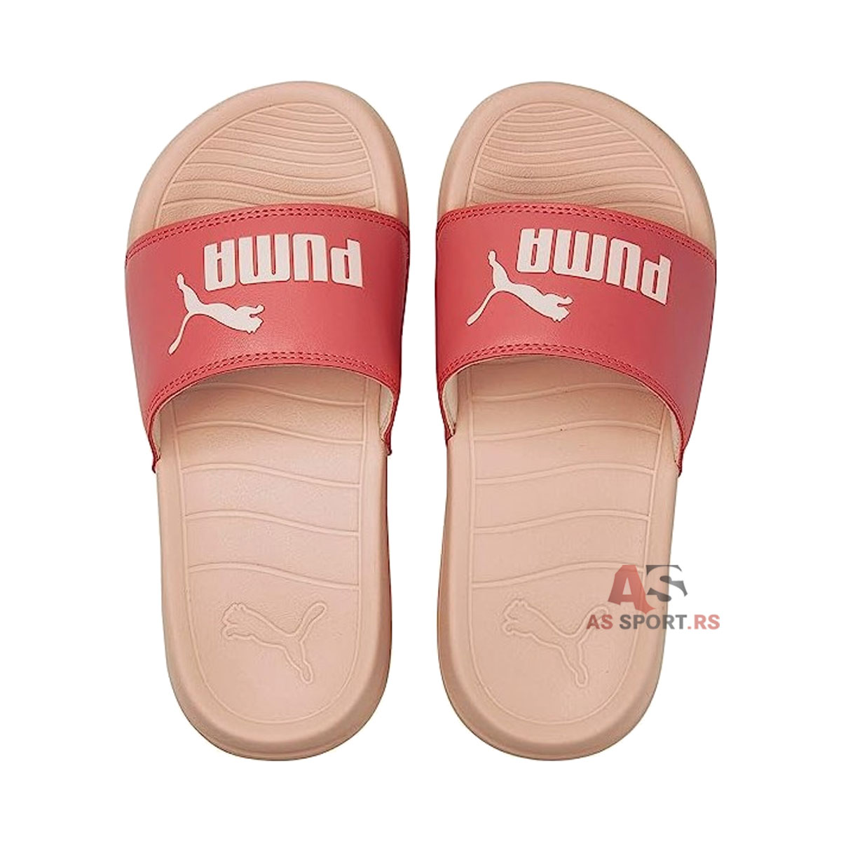 Popcat 20 Jr 38 372017-27-KU6D