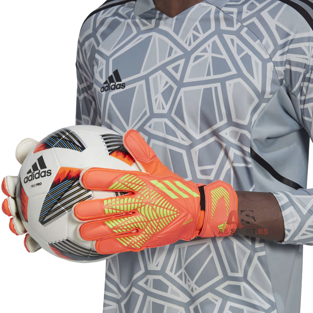 Pred Gl Mtc 9 HC0617-s10D