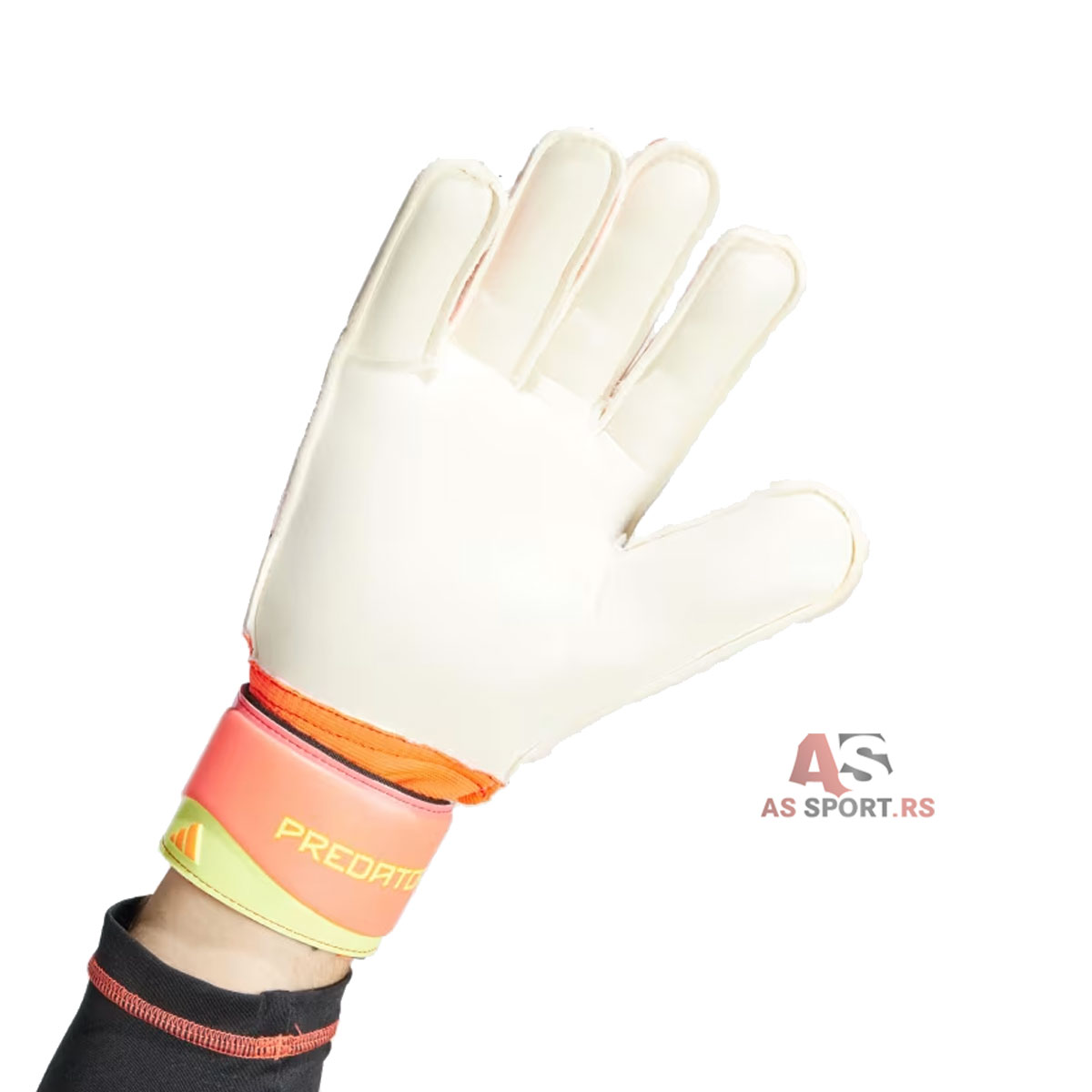 Pred Gl Mtc 9.5 IN1599-4pvJ