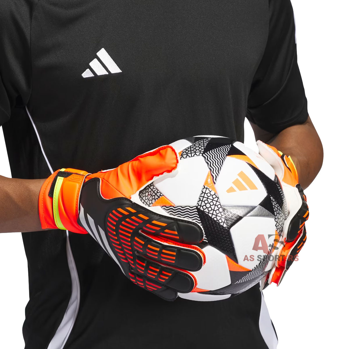 Pred Gl Trn  9.5 IQ4027-eump