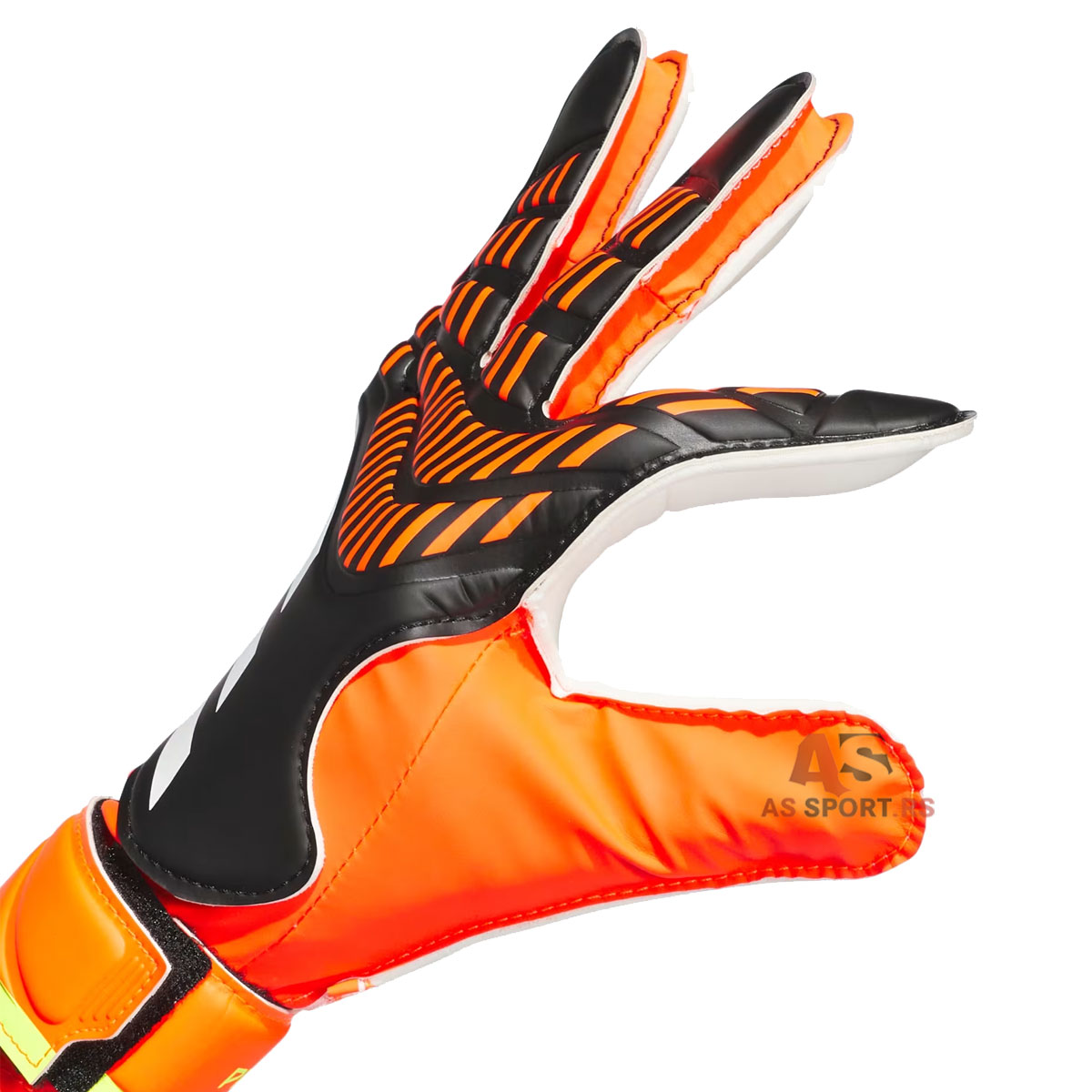 Pred Gl Trn  9.5 IQ4027-eump