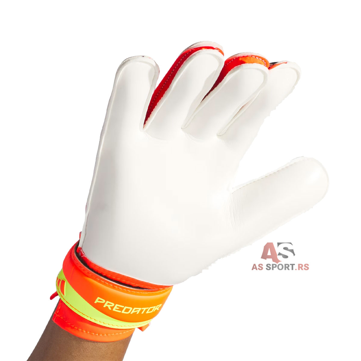 Pred Gl Trn  9.5 IQ4027-eump