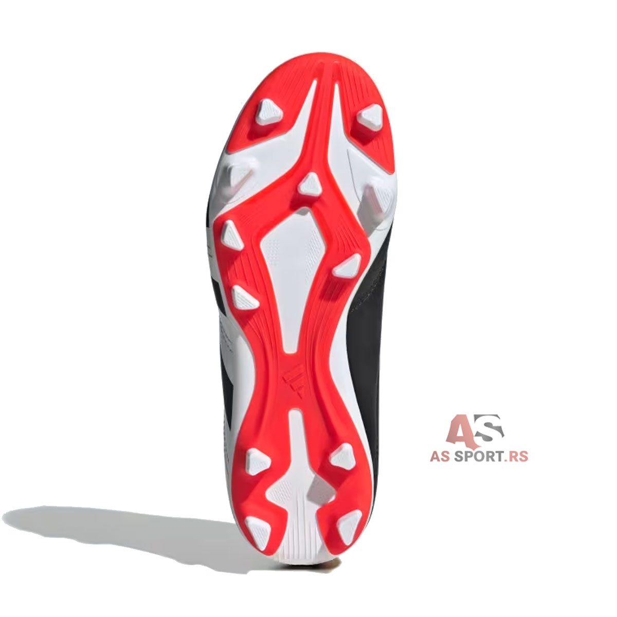 Predator Club L FxG J  36.5 IG5429-WJgL