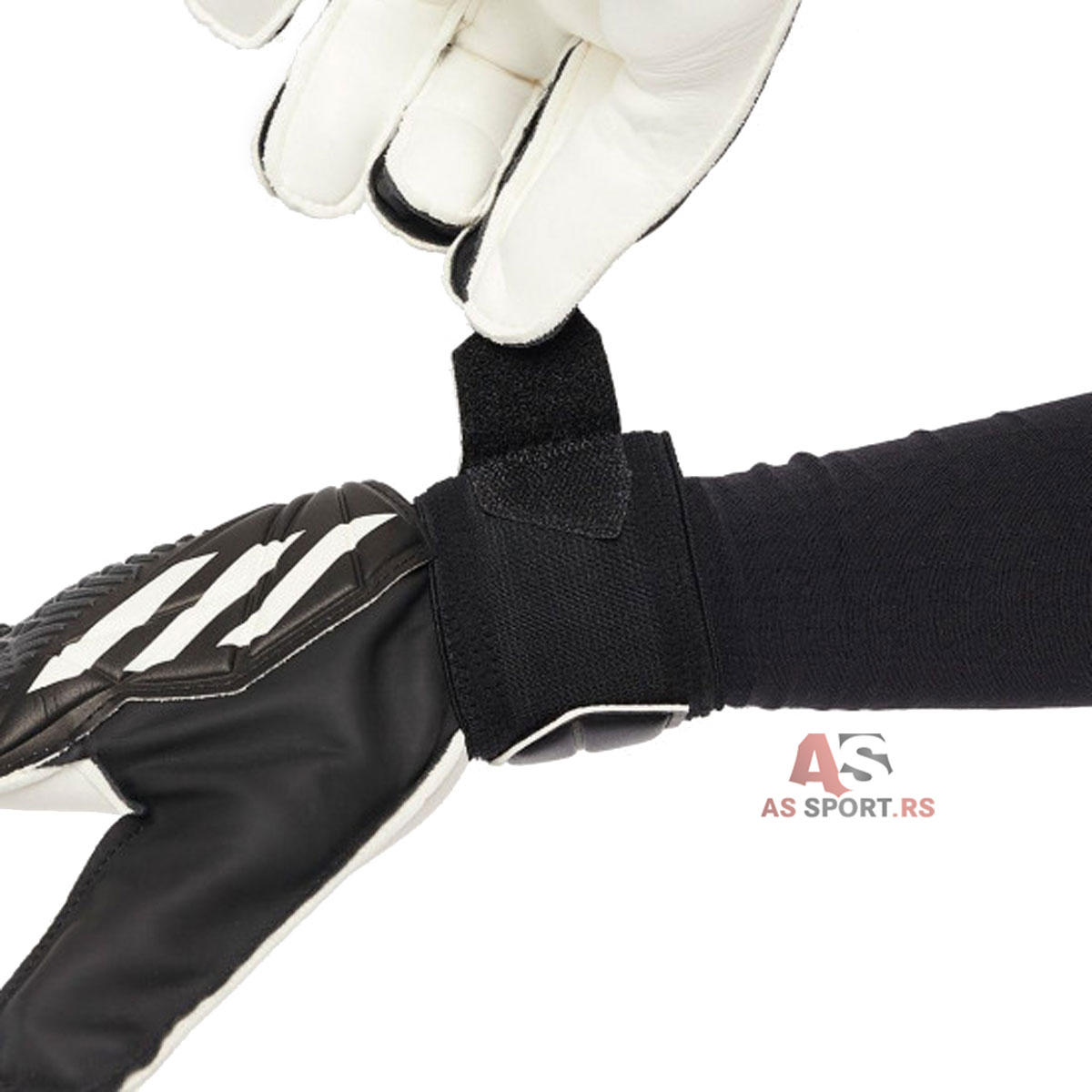 Predator Gl Trn  9 H62434-EO1x