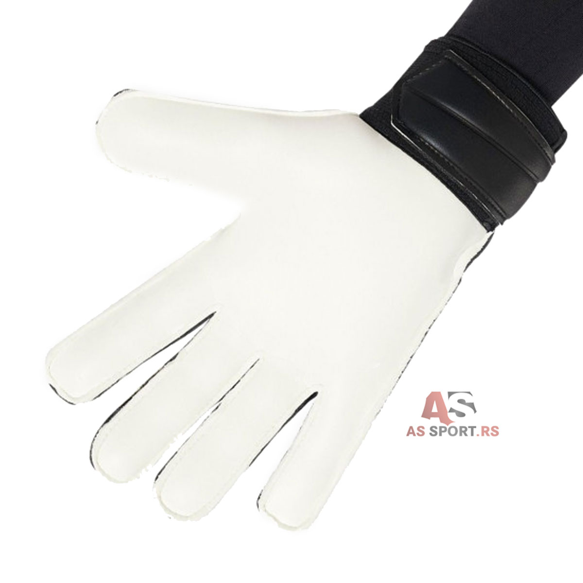 Predator Gl Trn  9 H62434-EO1x