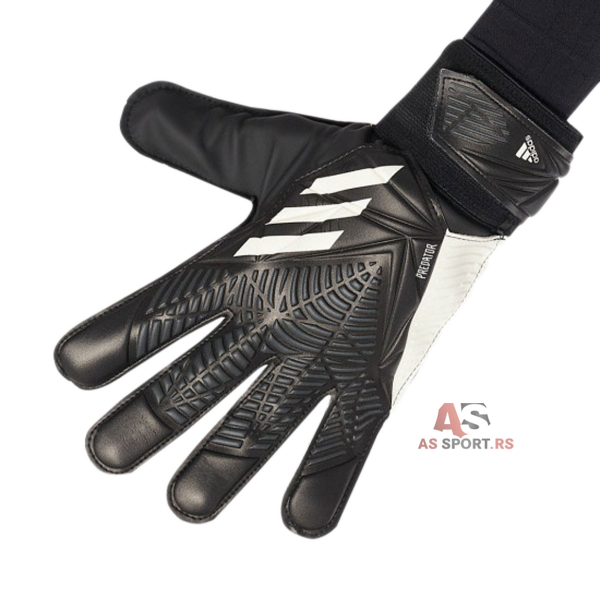 Predator Gl Trn  9 H62434-EO1x