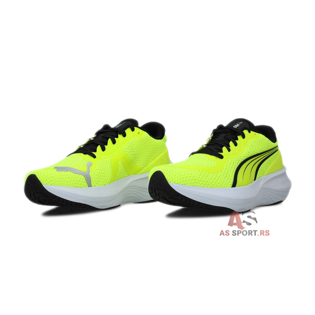 Scend Pro 43 310779-07-Mn8e