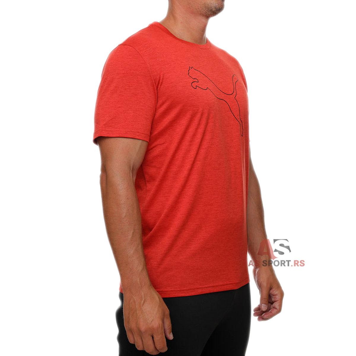 Tad Essential Heather Cat Tee  S 525907-15-FLo0