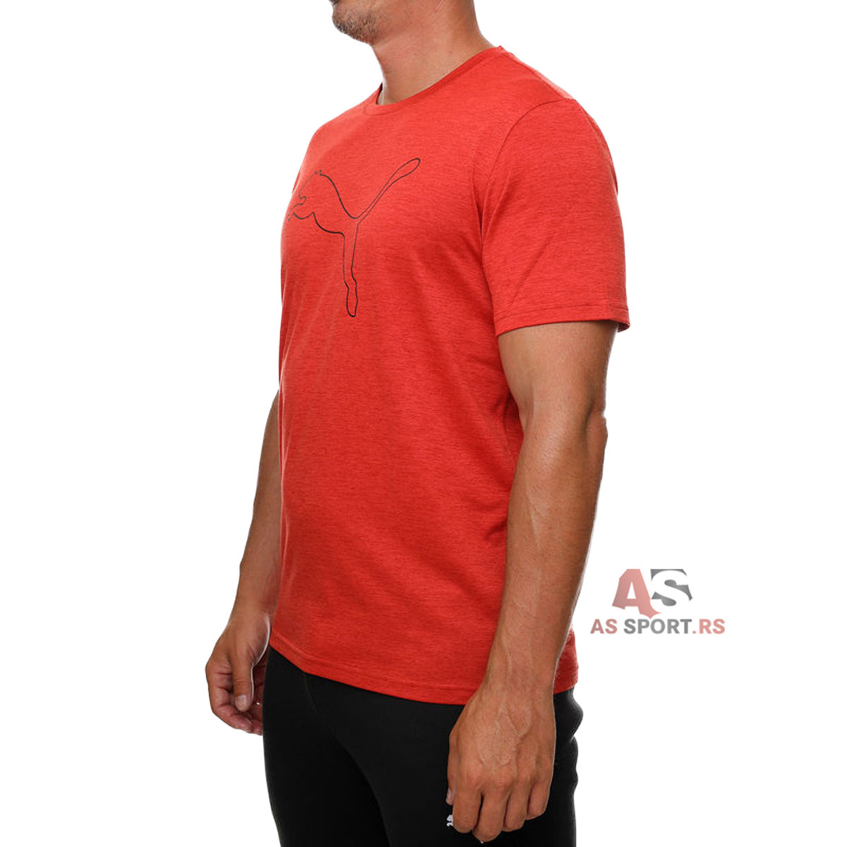 Tad Essential Heather Cat Tee  S 525907-15-FLo0