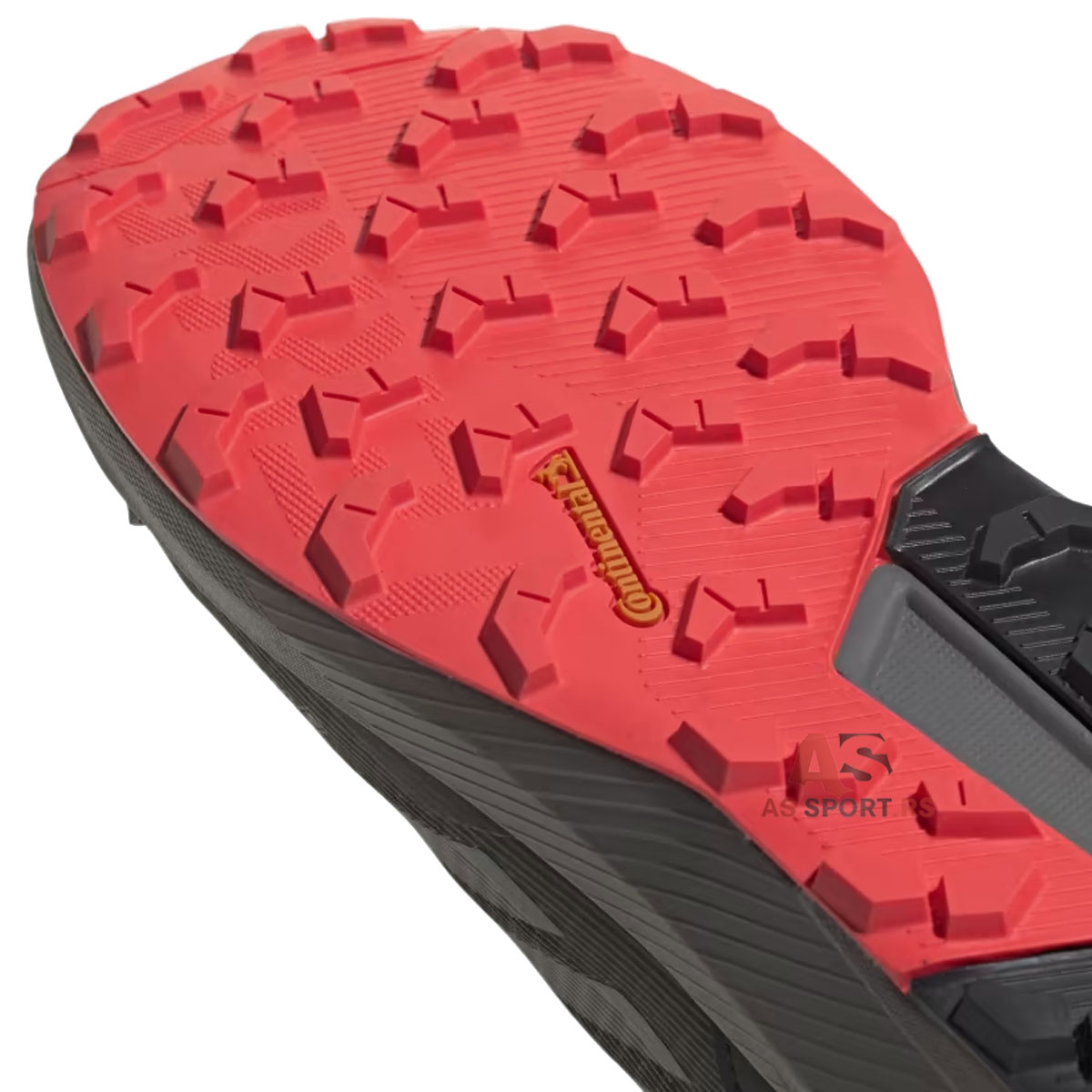 Terrex Trailrider GTX  41 1/3 HQ1233-R6c3