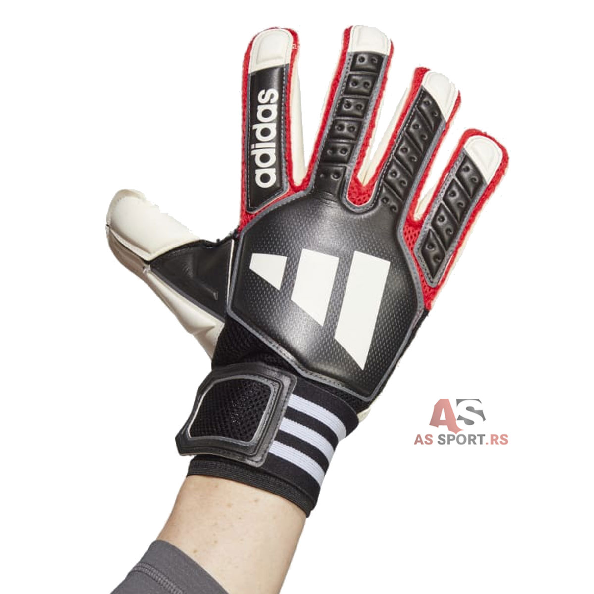 Tiro GL Pro  10.5 HN5611-6Vqx