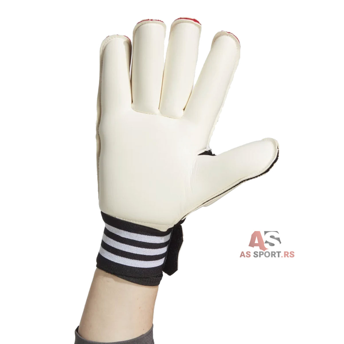 Tiro GL Pro  10.5 HN5611-6Vqx